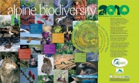 La biodiversité alpine