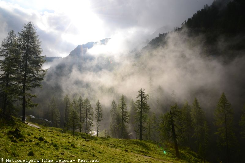 09.Nationalpark Hohe Tauern Kärntner