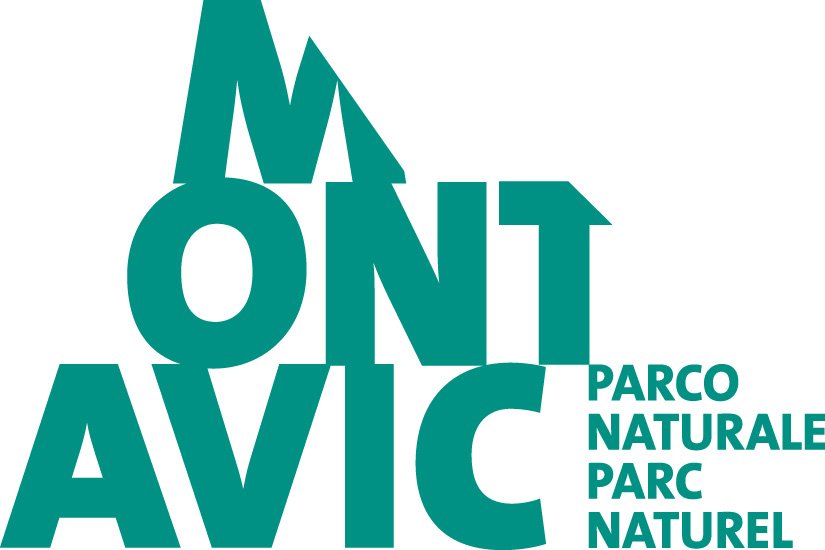 logo montAvic