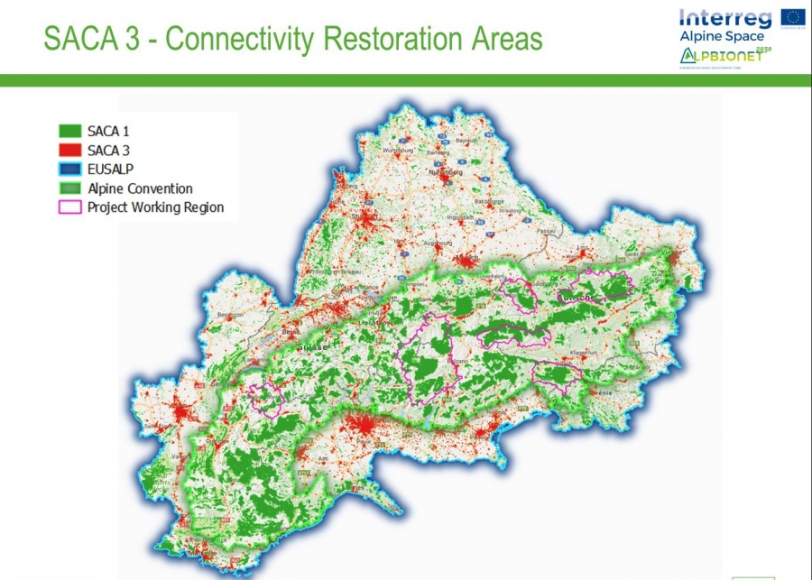 Alpine Ecological Connectivity:  a common issue for the Alpine Convention and EUSALP