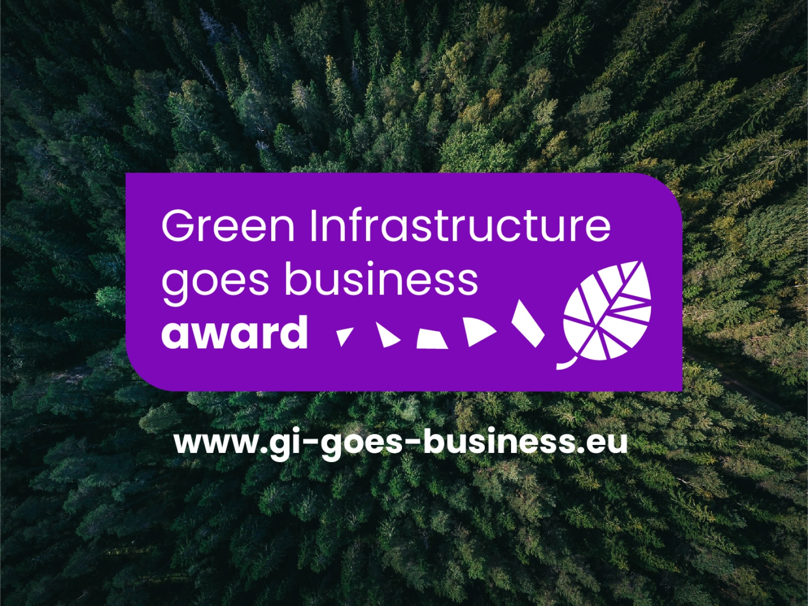 The Green Infrastructure goes business award is now open for application