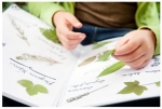 YOUrALPS project: first milestones on Mountain-oriented education reached