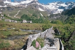 Swiss-Italian cooperation in favor of ecological connectivity