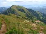 Naturpark Nagelfluhkette
