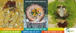 Land art &amp; Photo Contest for the 20th anniversary of ALPARC