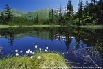 CIPRA Annual Conference: “Alpine spheres: natural limits, infinite possibilities”