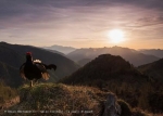 Fotografare il parco - international  nature photo contest
