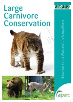 Large Carnivore Conservation