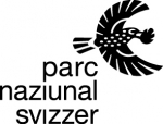 The Swiss National Park is 100 years old. Happy birthday!