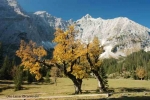 Alpine Park Karwendel – Austria’s largest natural parkin Karwendel