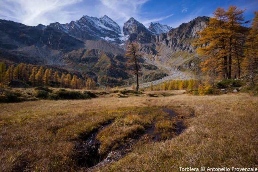 Vote for APOLLO project in the Gran Paradiso National Park!