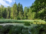 Copyright : Parc naturel du Jorat