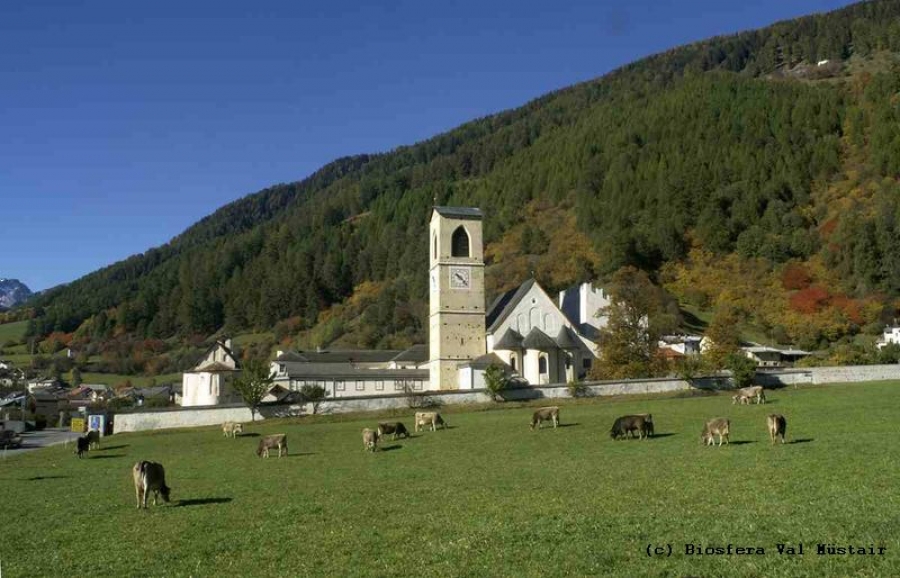 Naravni regijski biosferni rezervat Val Müstair